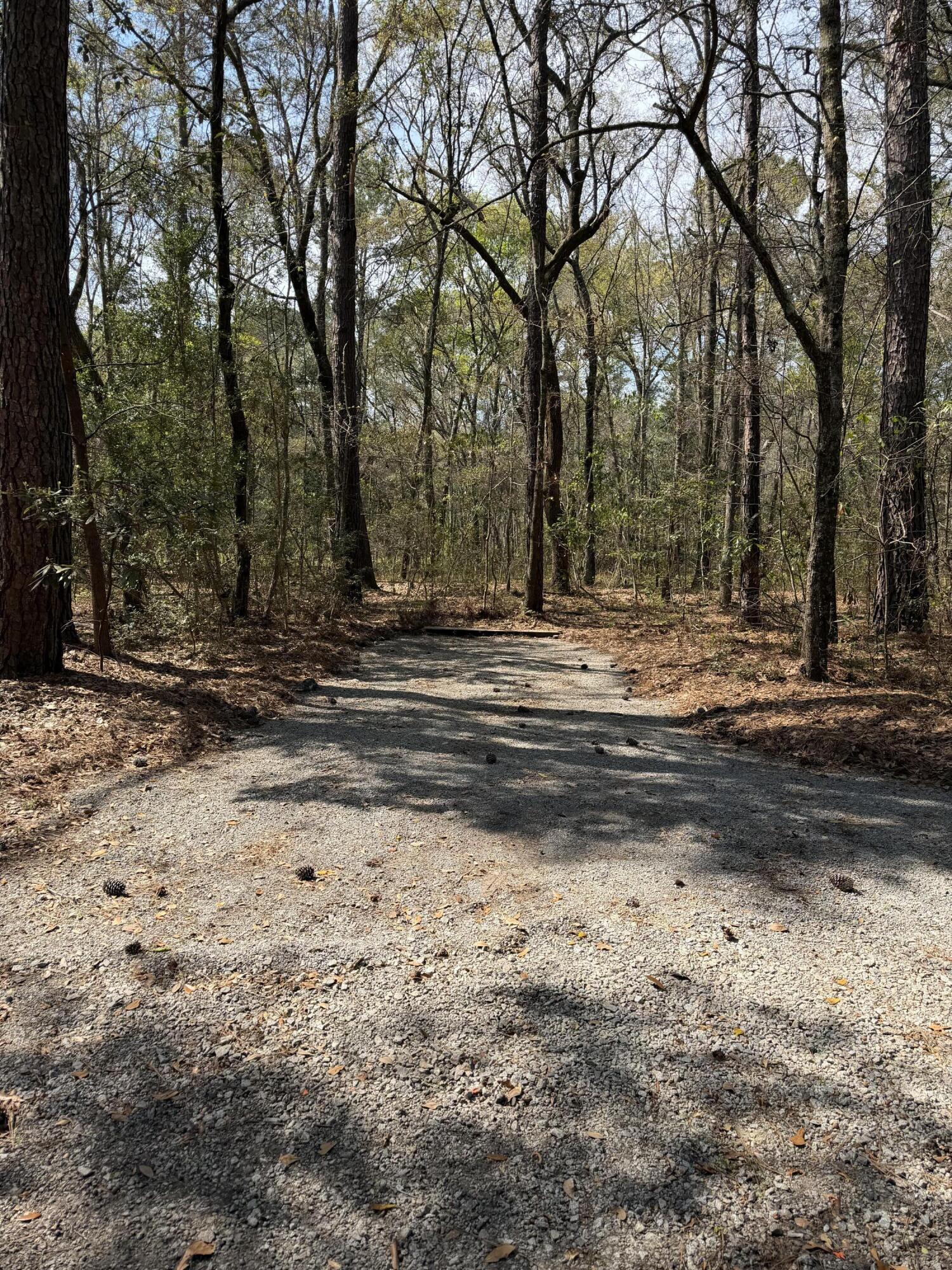 6321 Bears Bluff Road