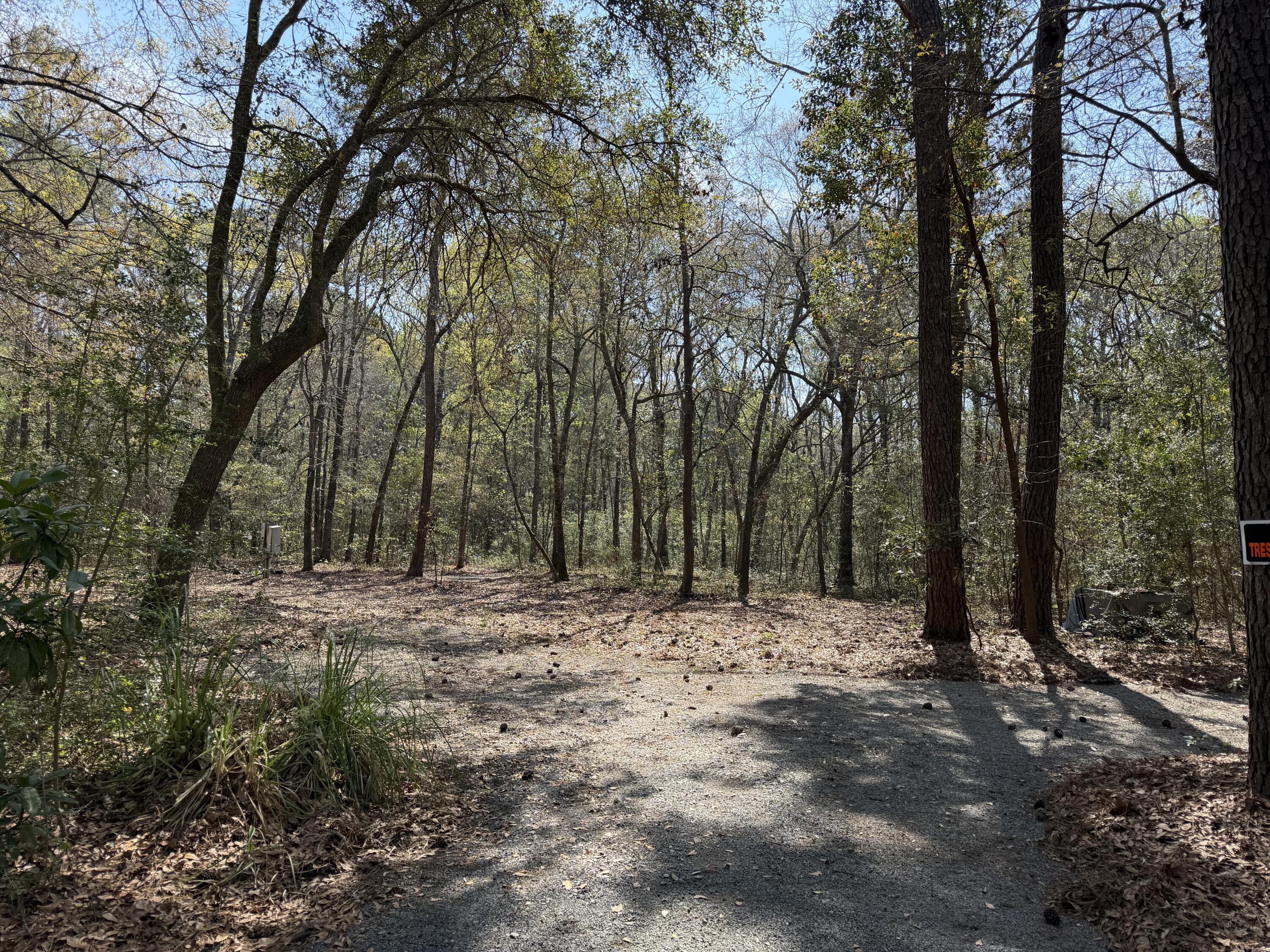 6321 Bears Bluff Road