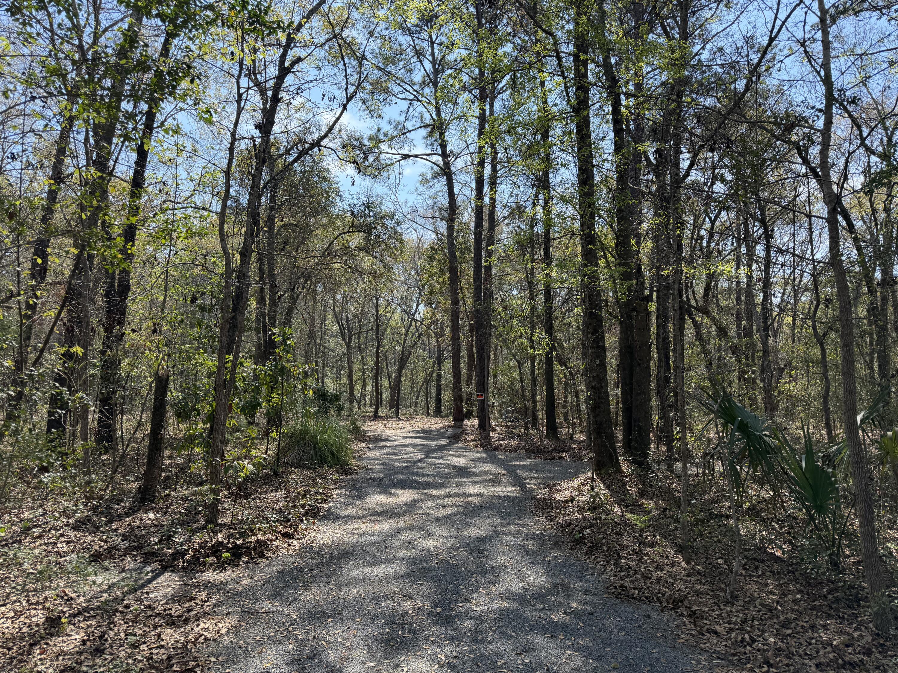 6321 Bears Bluff Road