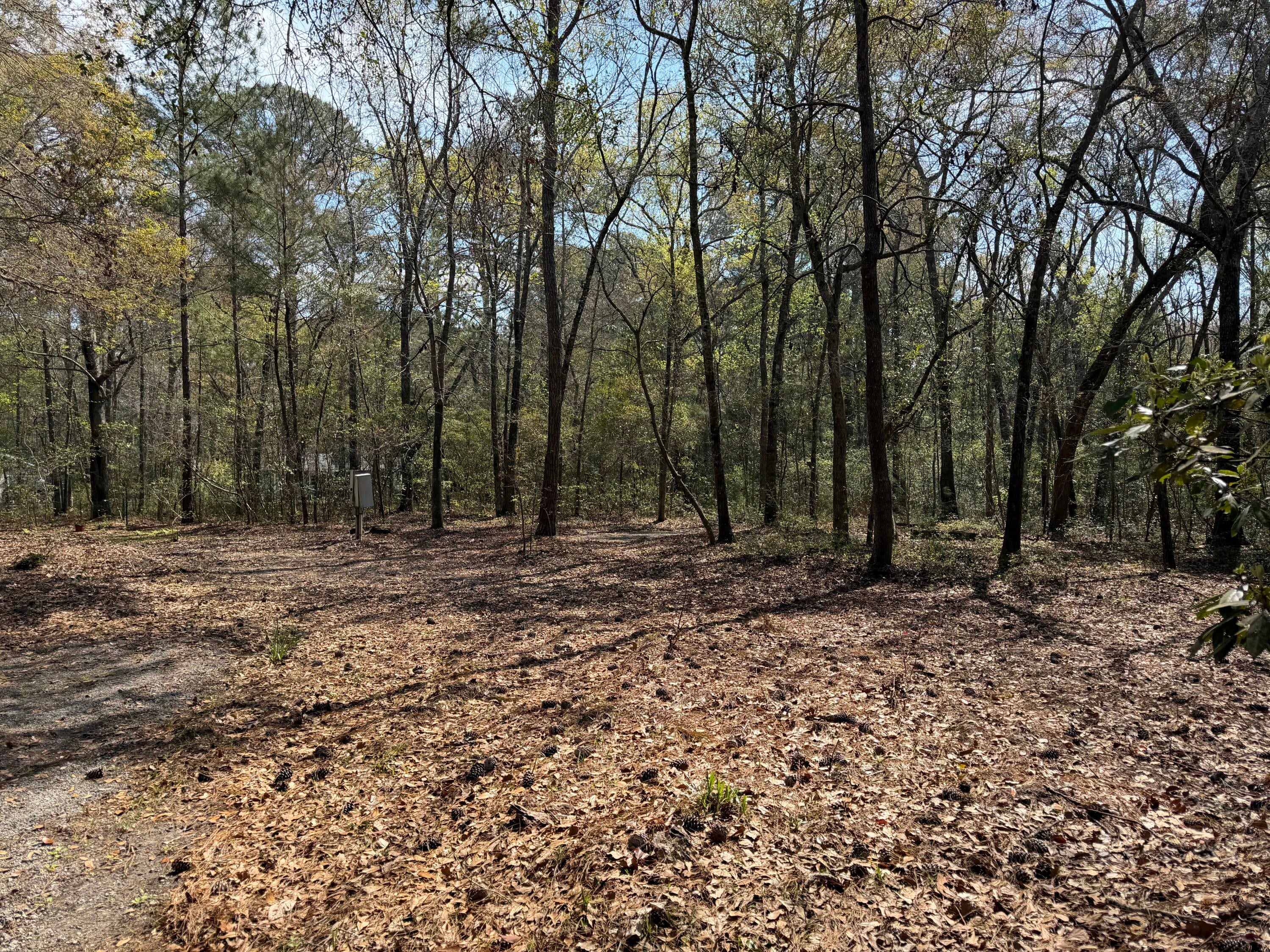 6321 Bears Bluff Road, Wadmalaw Island, SC, 29487