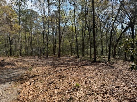 6321 Bears Bluff Road Wadmalaw Island SC 29487