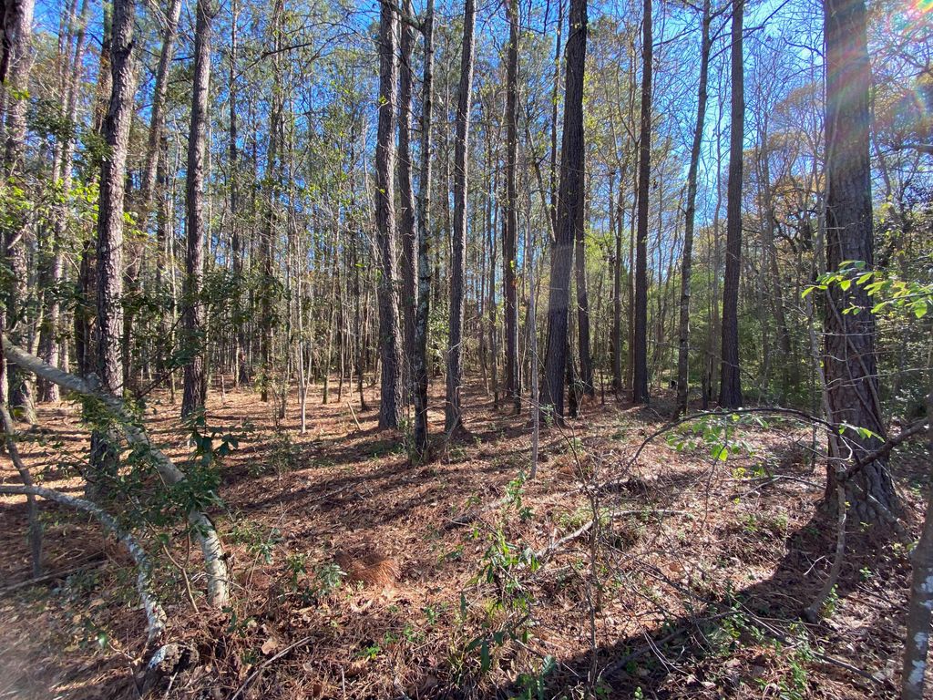 Photo of 0000 Winter Street, Moncks Corner, SC 29461 (MLS # 23005826)