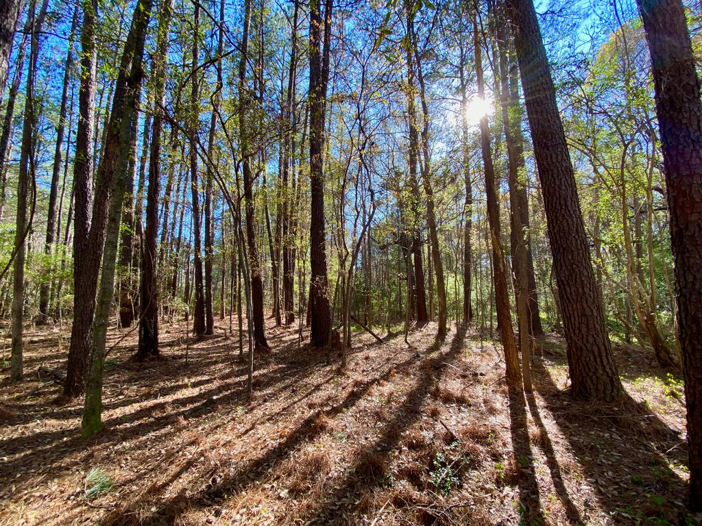 Photo of 0000 Winter Street, Moncks Corner, SC 29461 (MLS # 23005826)