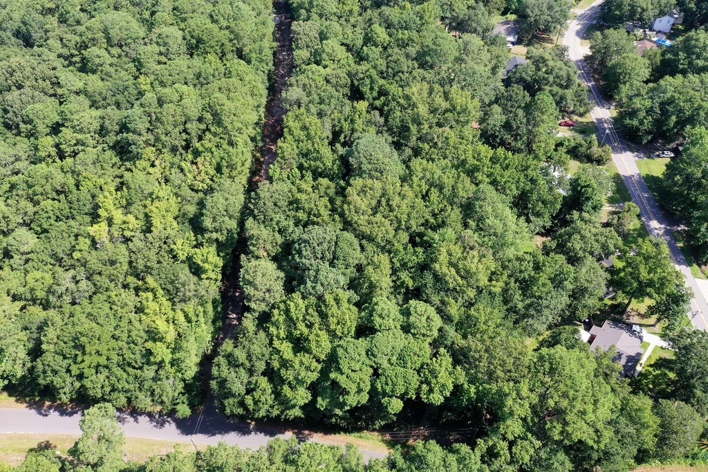 Photo of 0 Conrad Street, Johns Island, SC 29455 (MLS # 26025554)