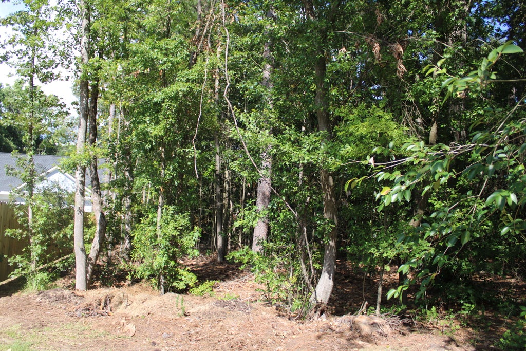 Photo of 9122 State Rd S-10-1224, North Charleston, SC 29406 (MLS # 26019721)
