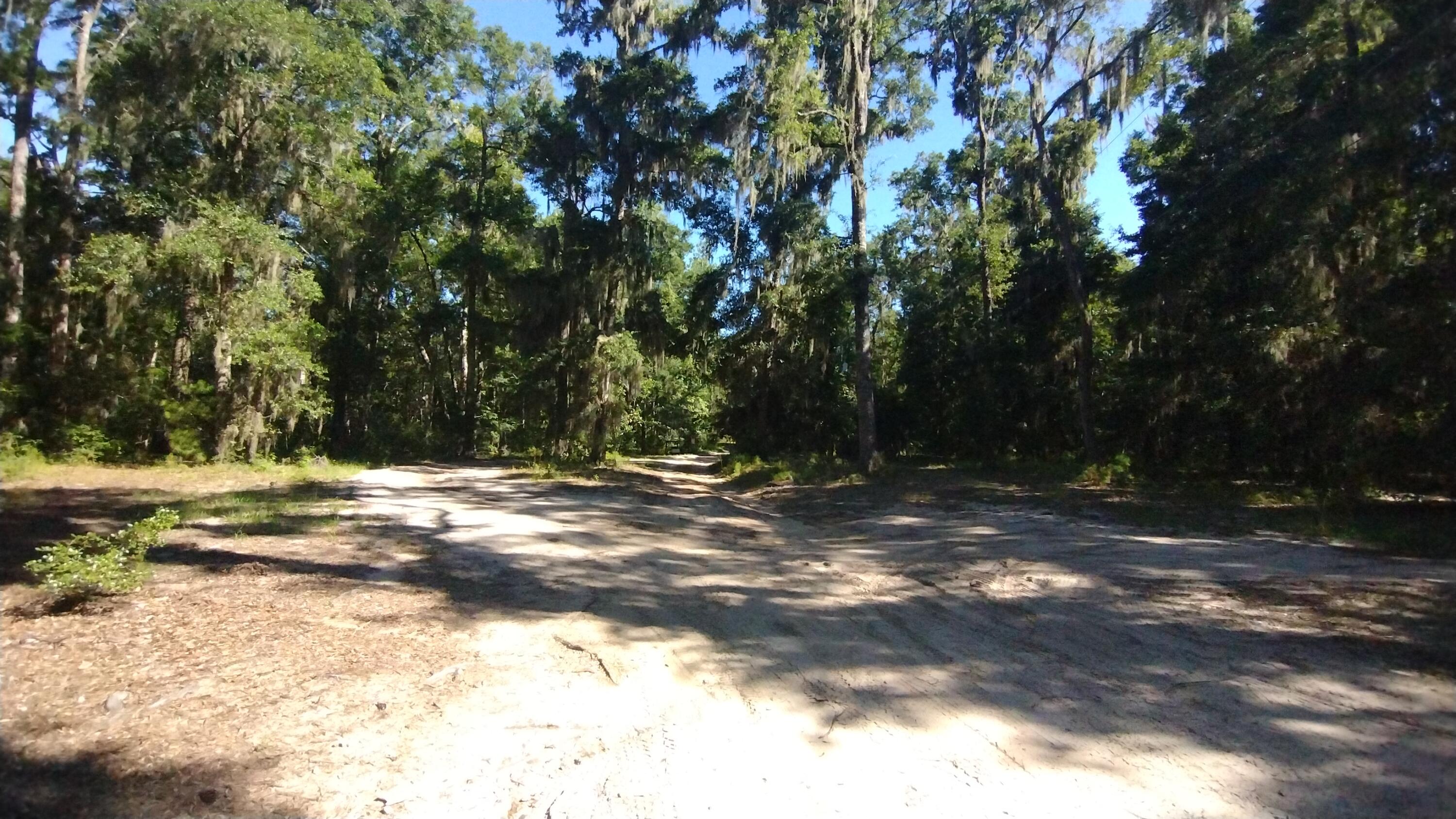 8615 Raccoon Island Road