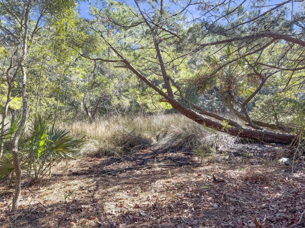 Photo of 5528 Chisolm Road, Johns Island, SC 29455 (MLS # 25001627)