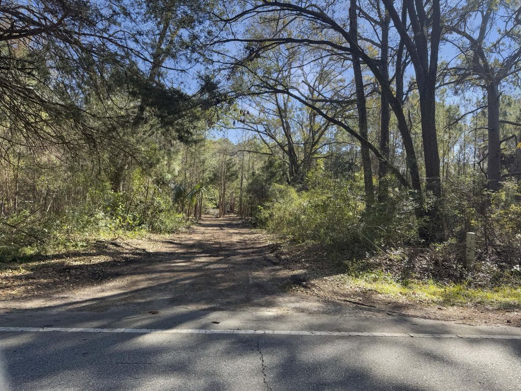 Photo of 5528 Chisolm Road, Johns Island, SC 29455 (MLS # 25001627)