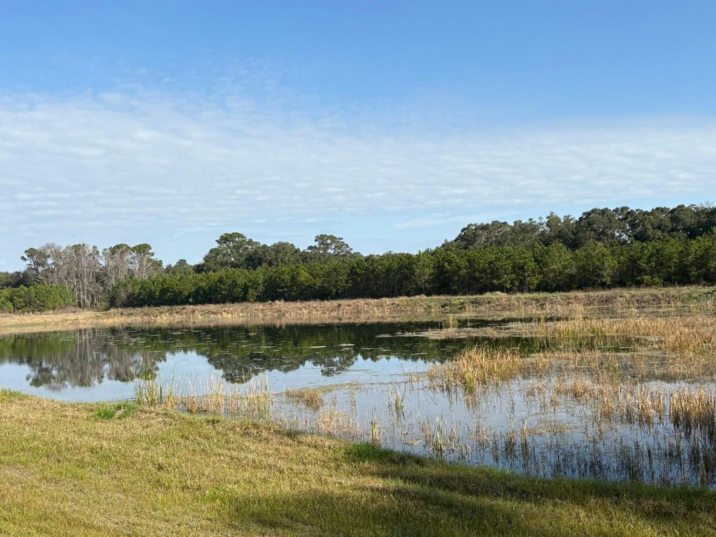 Photo of 3170 Contentment Hall Road, Johns Island, SC 29455 (MLS # 26007502)