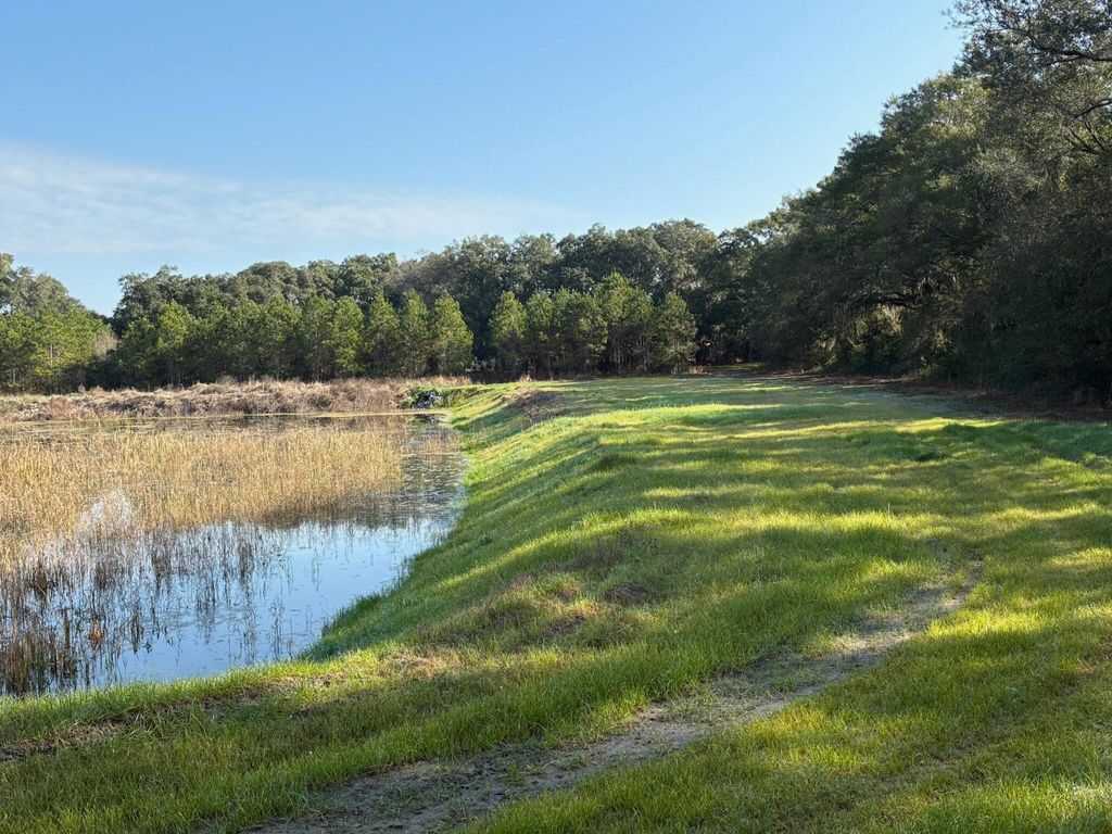 Photo of 3170 Contentment Hall Road, Johns Island, SC 29455 (MLS # 26007502)