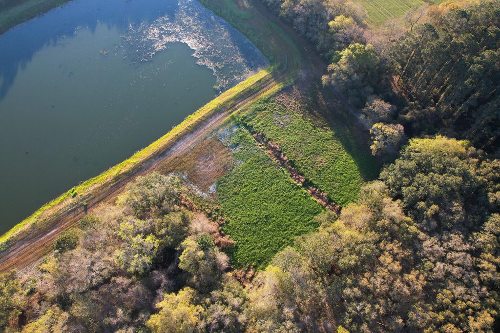 Photo of 3170 Contentment Hall Road, Johns Island, SC 29455 (MLS # 26007502)