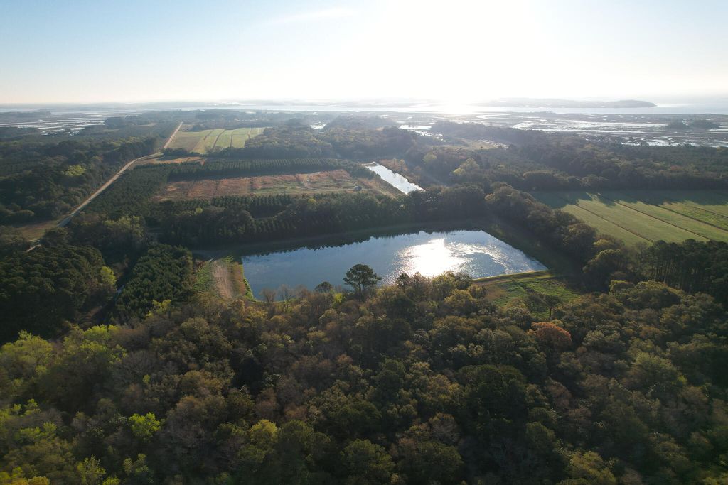 Photo of 3170 Contentment Hall Road, Johns Island, SC 29455 (MLS # 26007502)