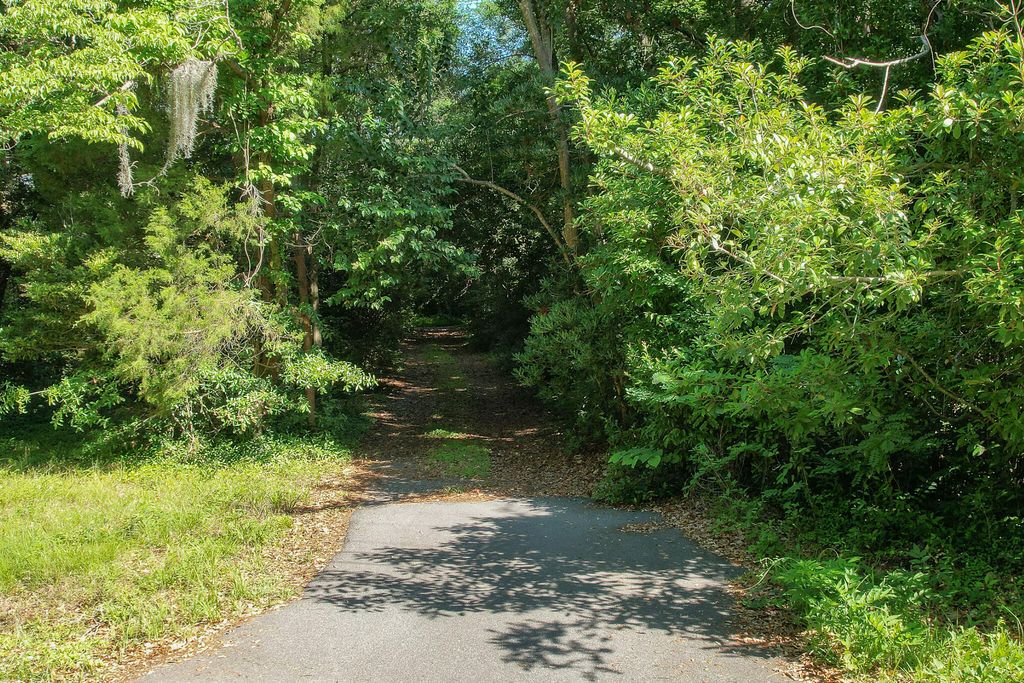 Photo of 2180 Wappoo Hall Road, Charleston, SC 29412 (MLS # 25013824)