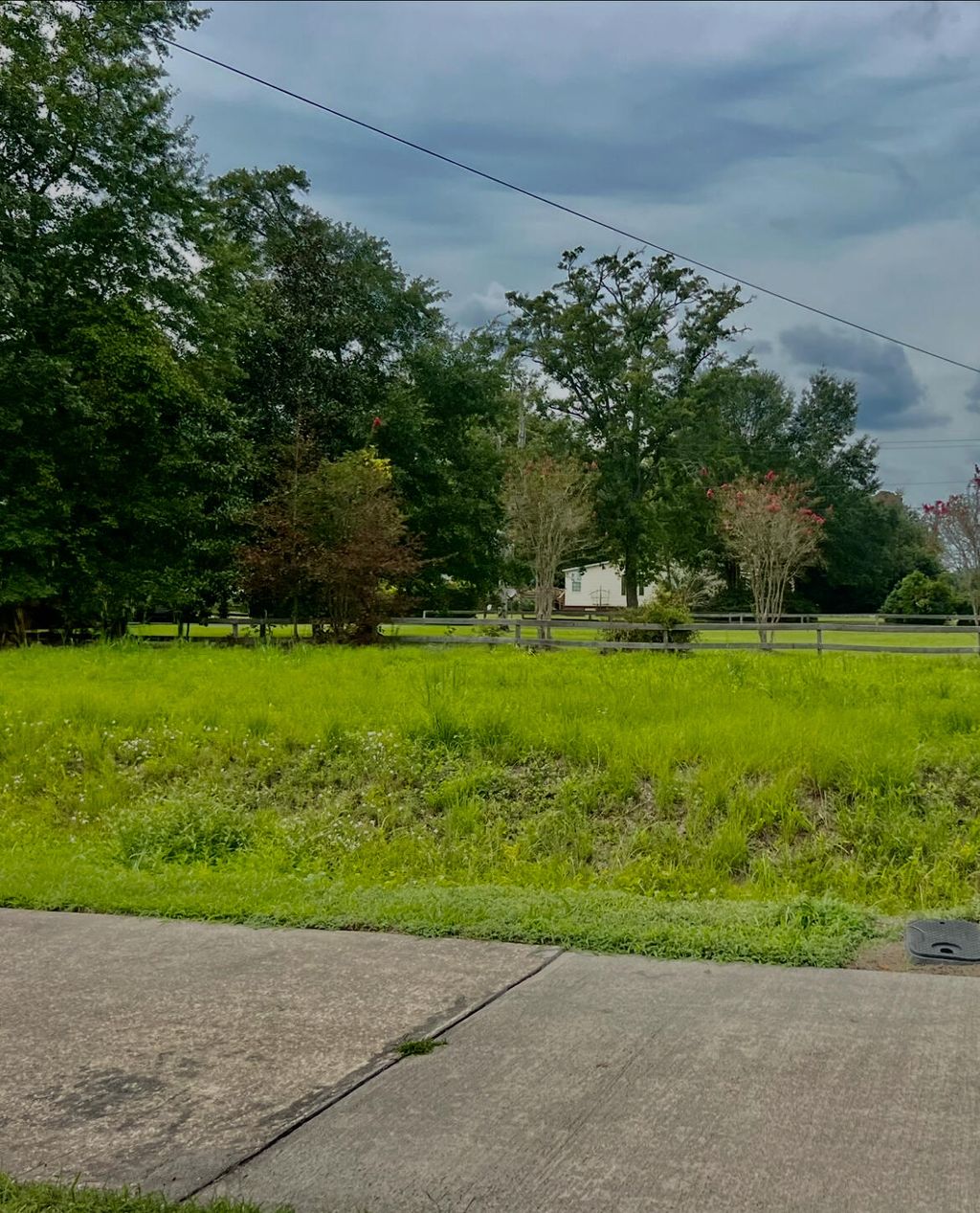 Photo of 0 Porchers Bluff, Mount Pleasant, SC 29466 (MLS # 25023070)