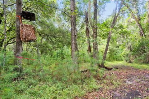 A home in Wadmalaw Island