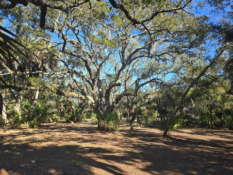 58 Painted Bunting Trail Edisto Island SC 29438