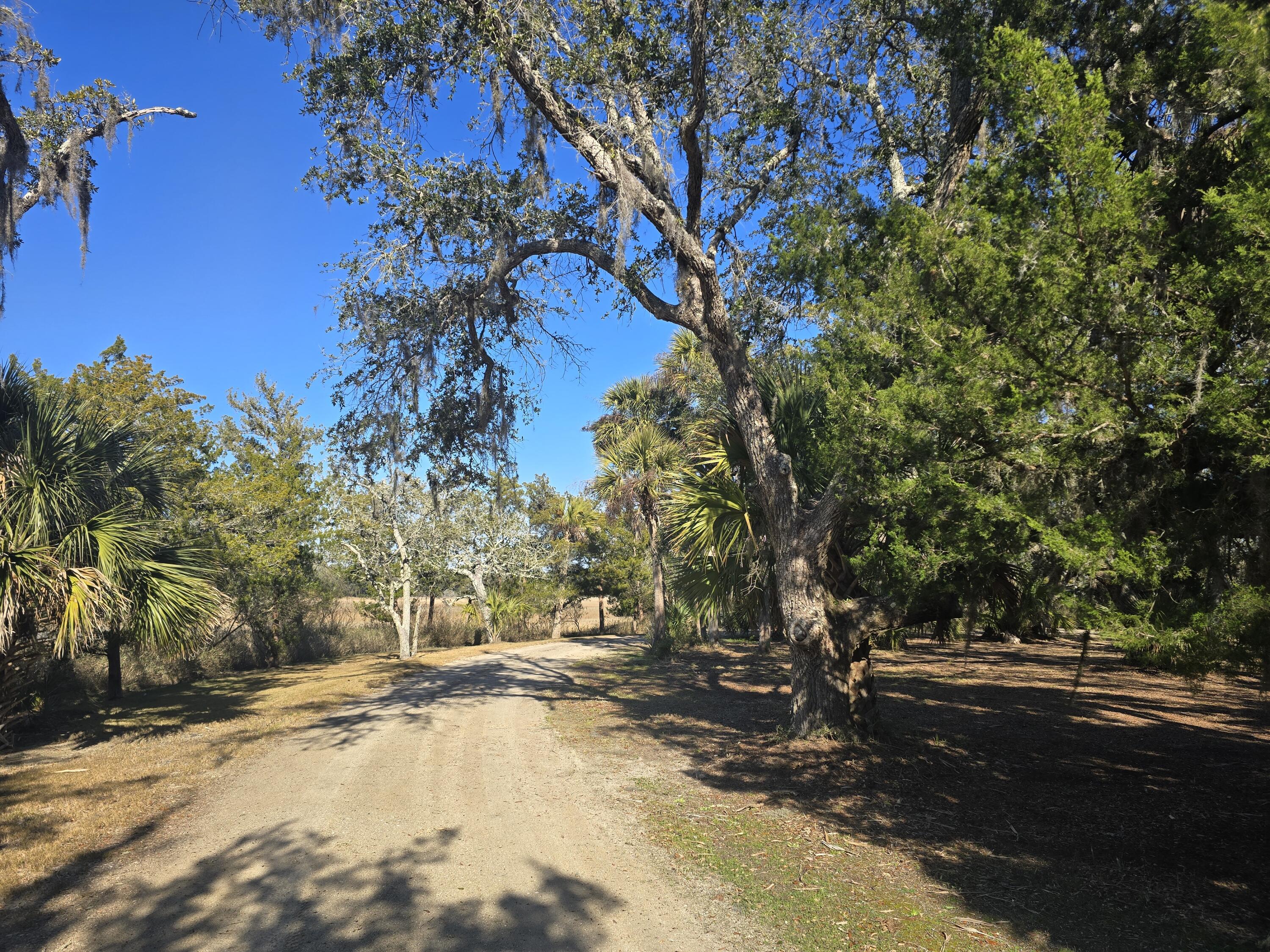 58 Painted Bunting Trail