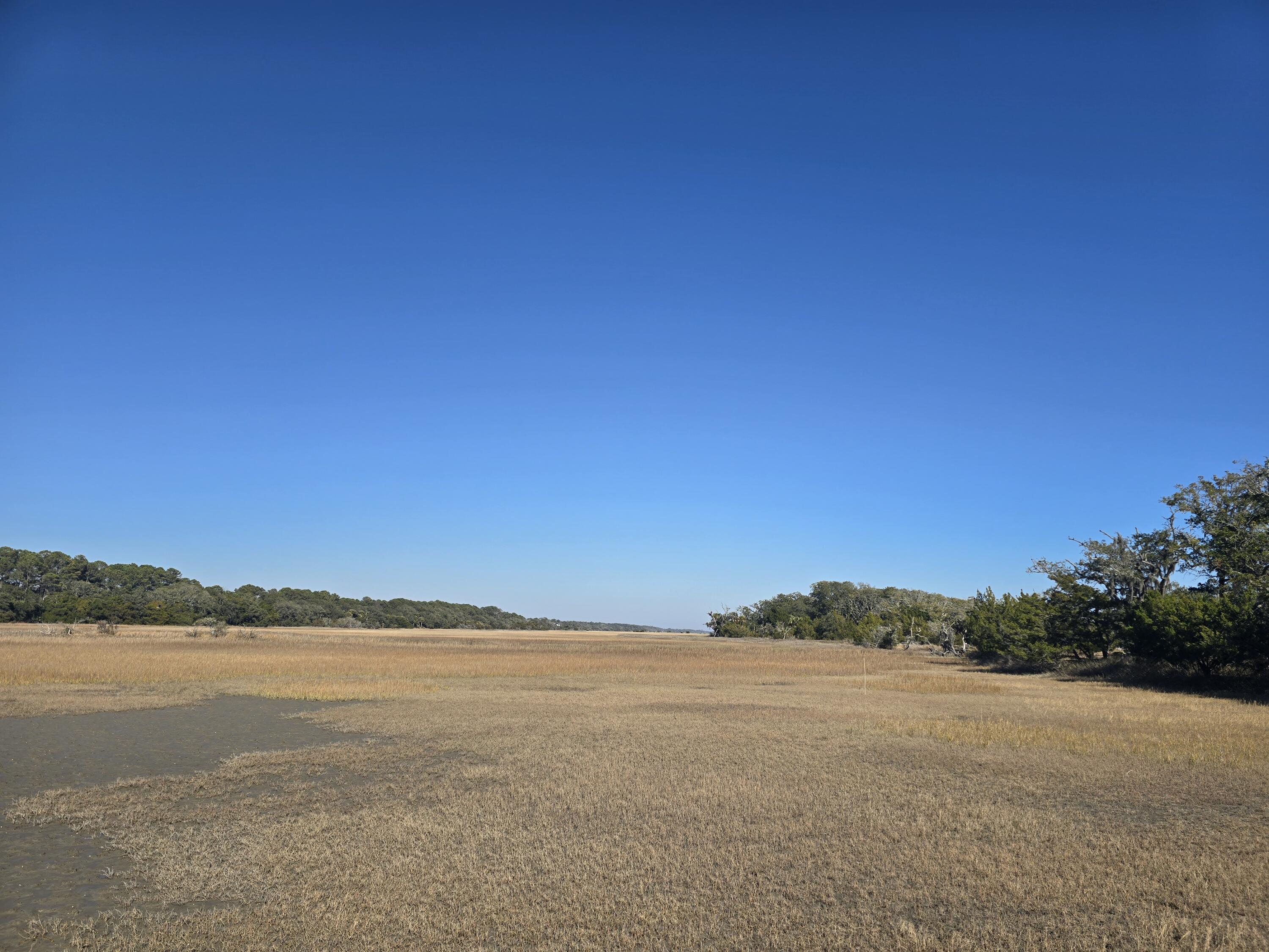 58 Painted Bunting Trail