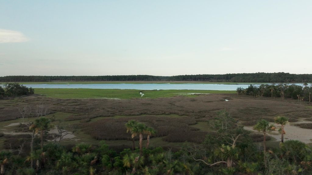 Photo of 1171 Ship Builder Street, Charleston, SC 29492 (MLS # 25017809)