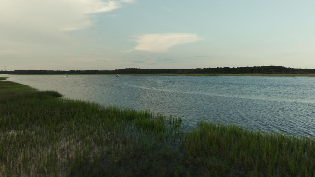 Photo of 1171 Ship Builder Street, Charleston, SC 29492 (MLS # 25017809)