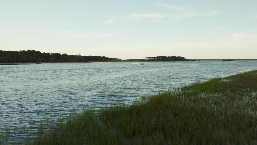 Photo of 1171 Ship Builder Street, Charleston, SC 29492 (MLS # 25017809)