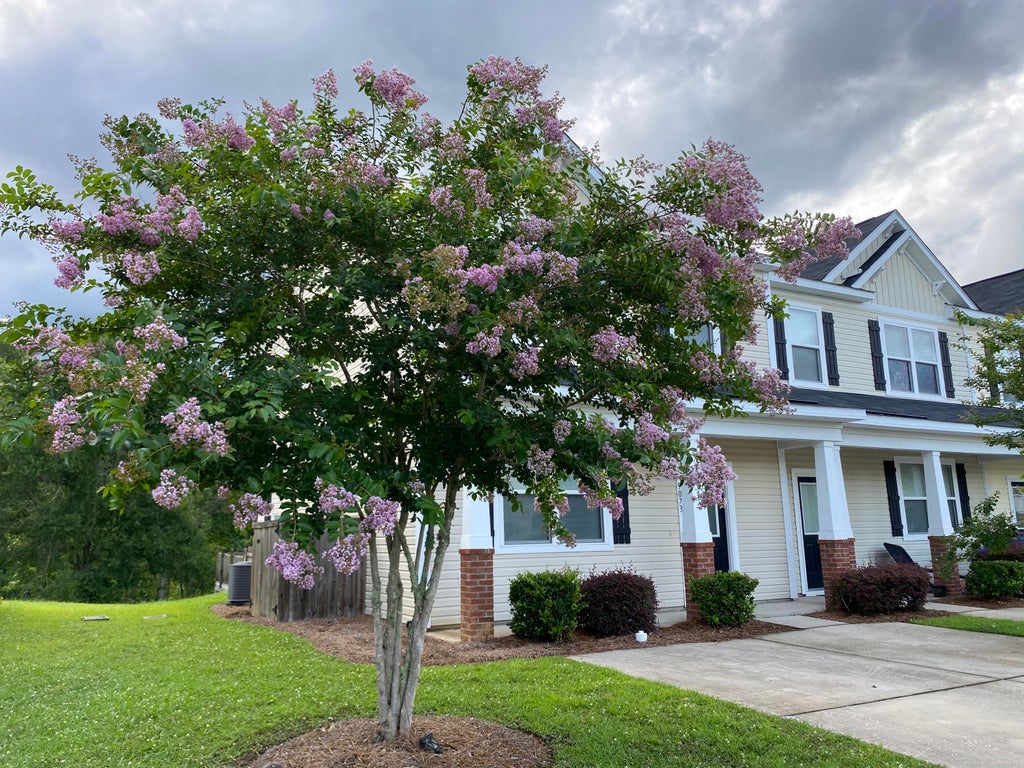 Photo of 9073 Parlor Drive, Ladson, SC 29456 (MLS # 26027041)