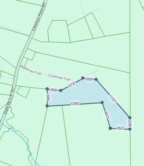 00 Calamus Pond Road Summerville SC 29486