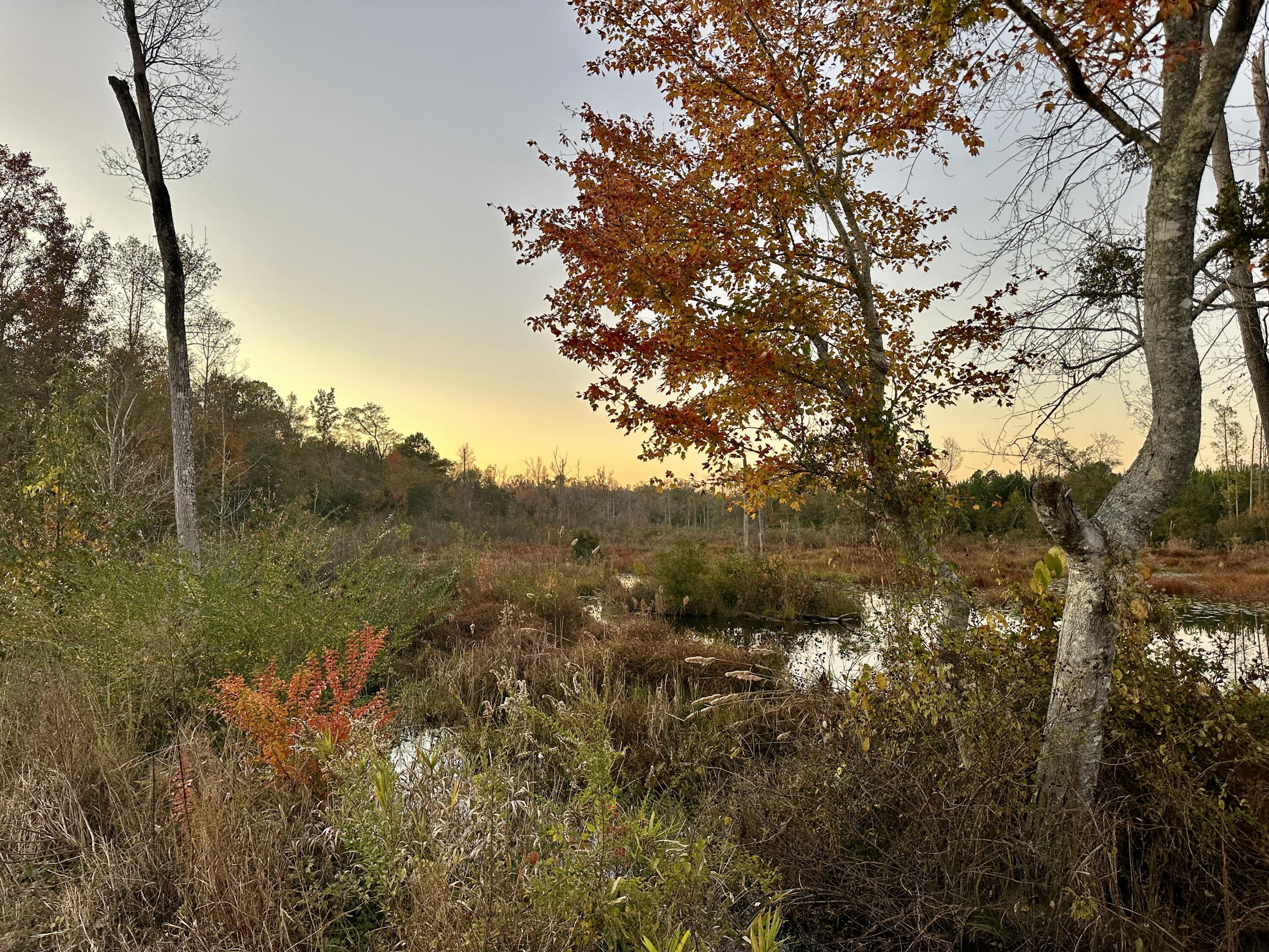 3021 Salley Road