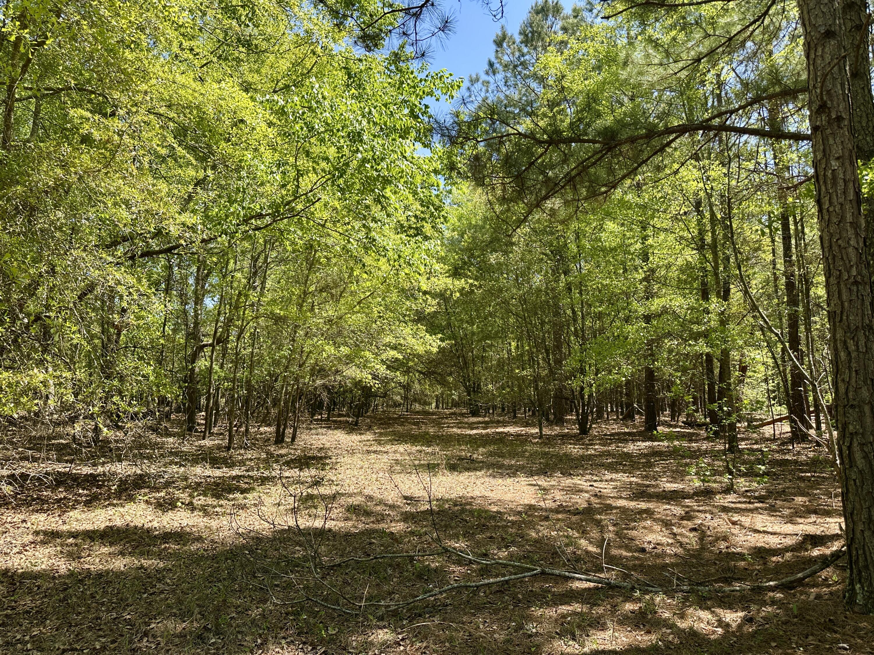 3021 Salley Road