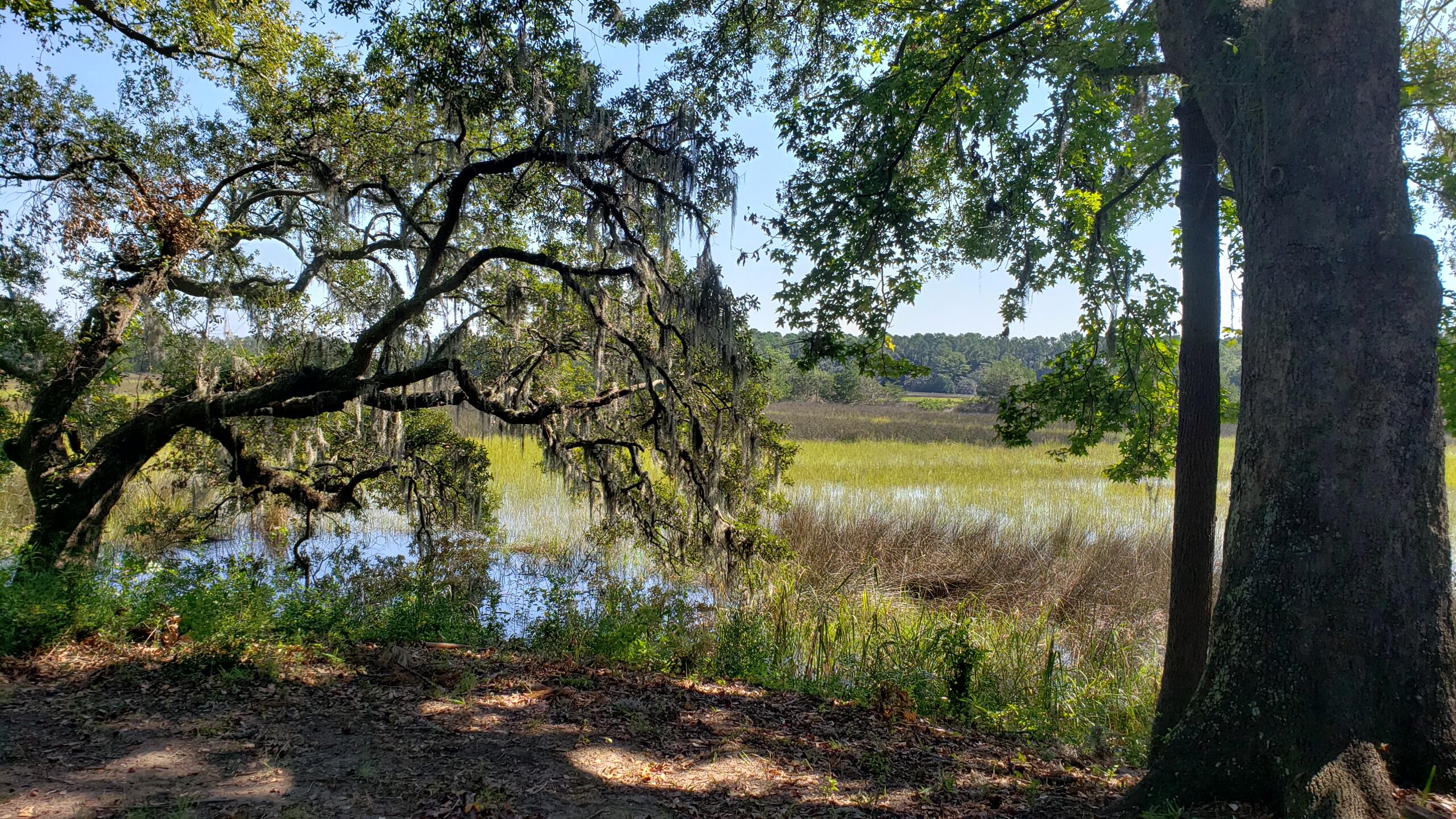 2340 Ashley River Road