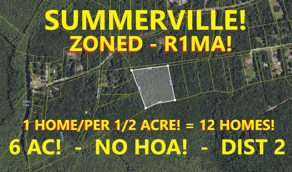 Photo of 0 Storey Road, Summerville, SC 29483 (MLS # 24030890)