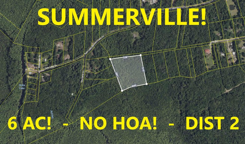 Photo of 0 Storey Road, Summerville, SC 29483 (MLS # 24030890)
