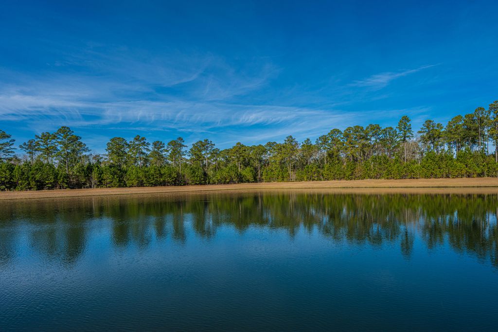 Photo of 5049 Cranesbill Way, Johns Island, SC 29455 (MLS # 26001115)