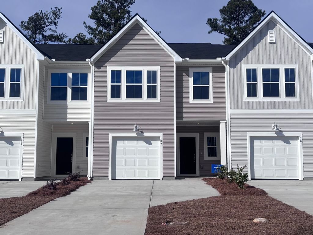 Photo of 389 Tiliwa Street, Summerville, SC 29486 (MLS # 25030528)