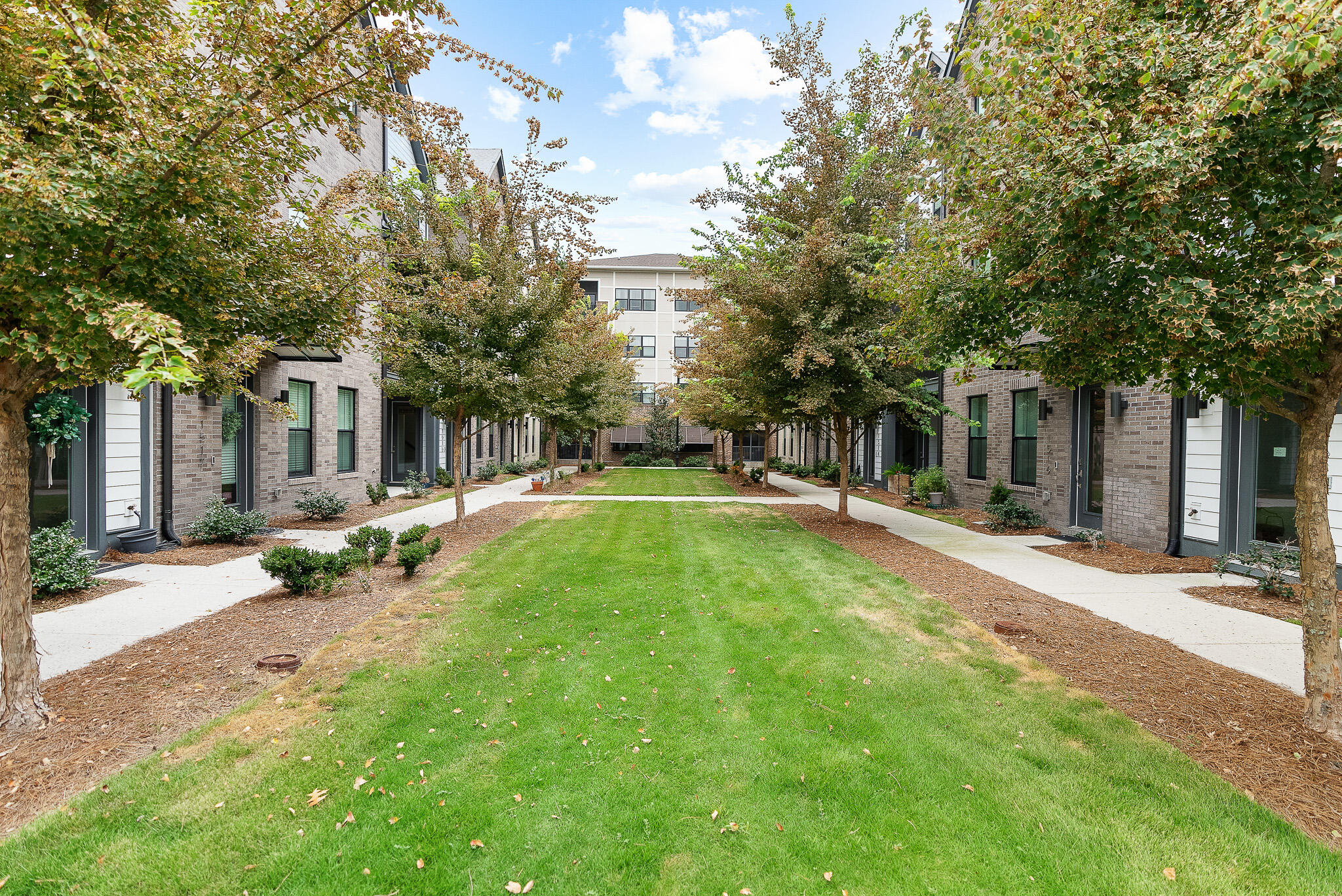 1515 Cecile Street E-3