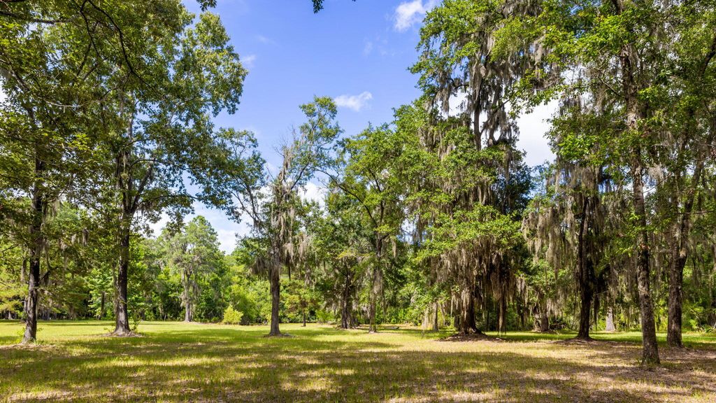 Photo of 0 Thorn Chase Lane, Johns Island, SC 29455 (MLS # 25029818)