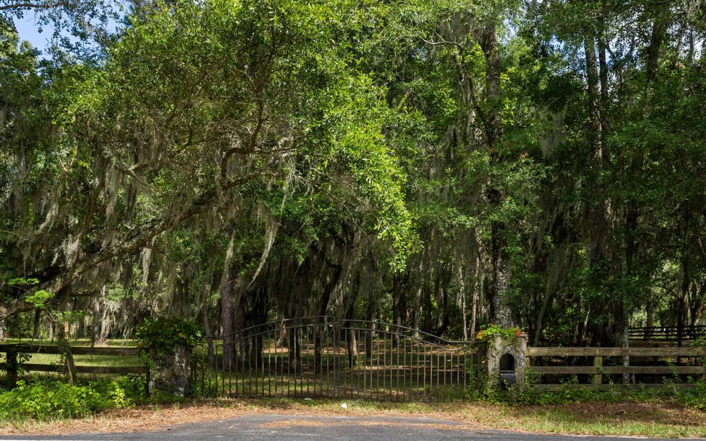 Photo of 0 Thorn Chase Lane, Johns Island, SC 29455 (MLS # 25029818)