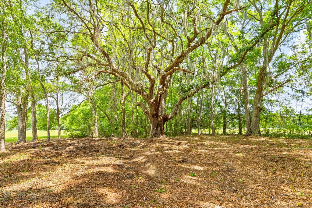 Photo of 2571 Bryans Dairy Road, Johns Island, SC 29455 (MLS # 26013794)