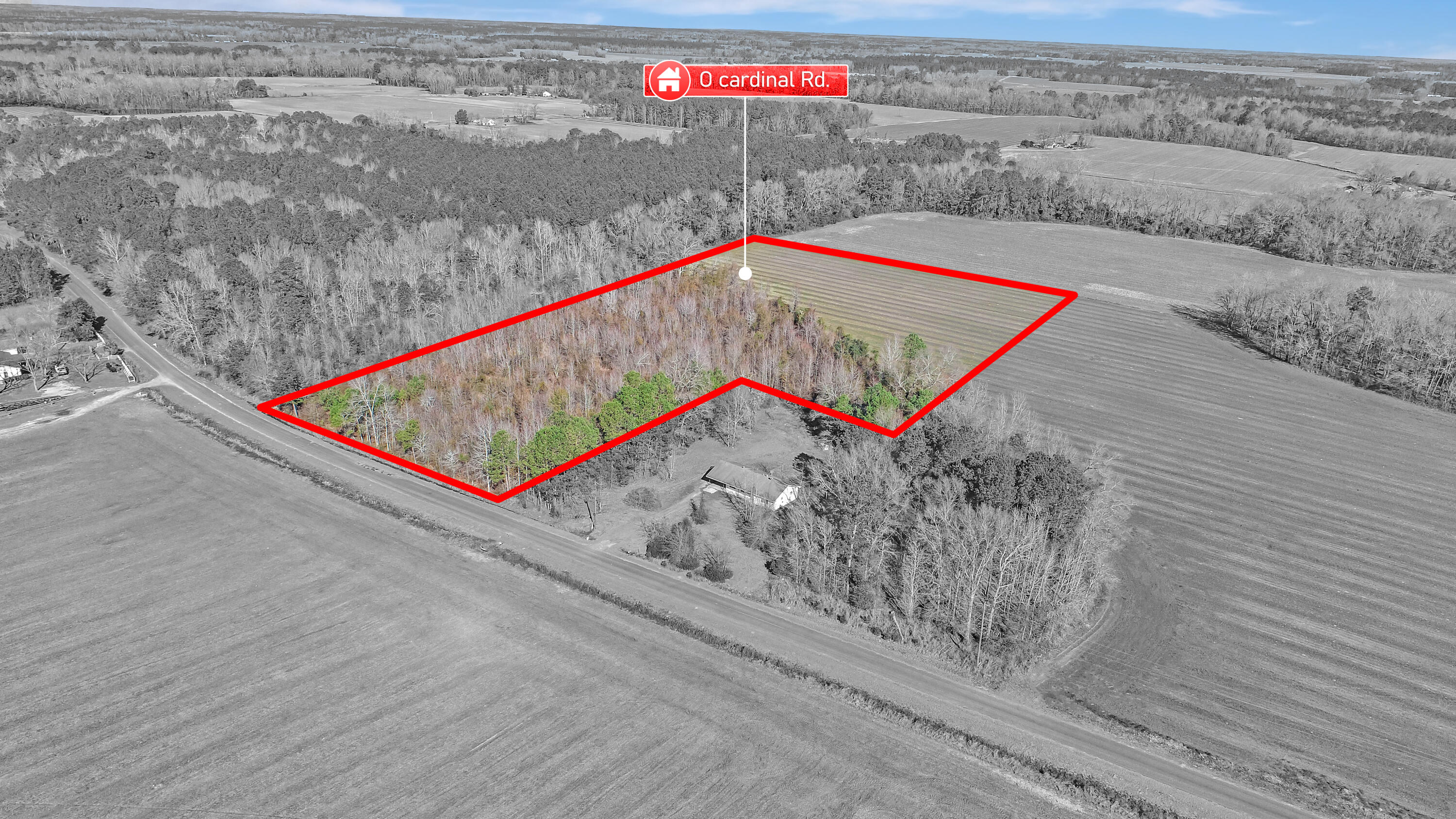 Listing image 7
