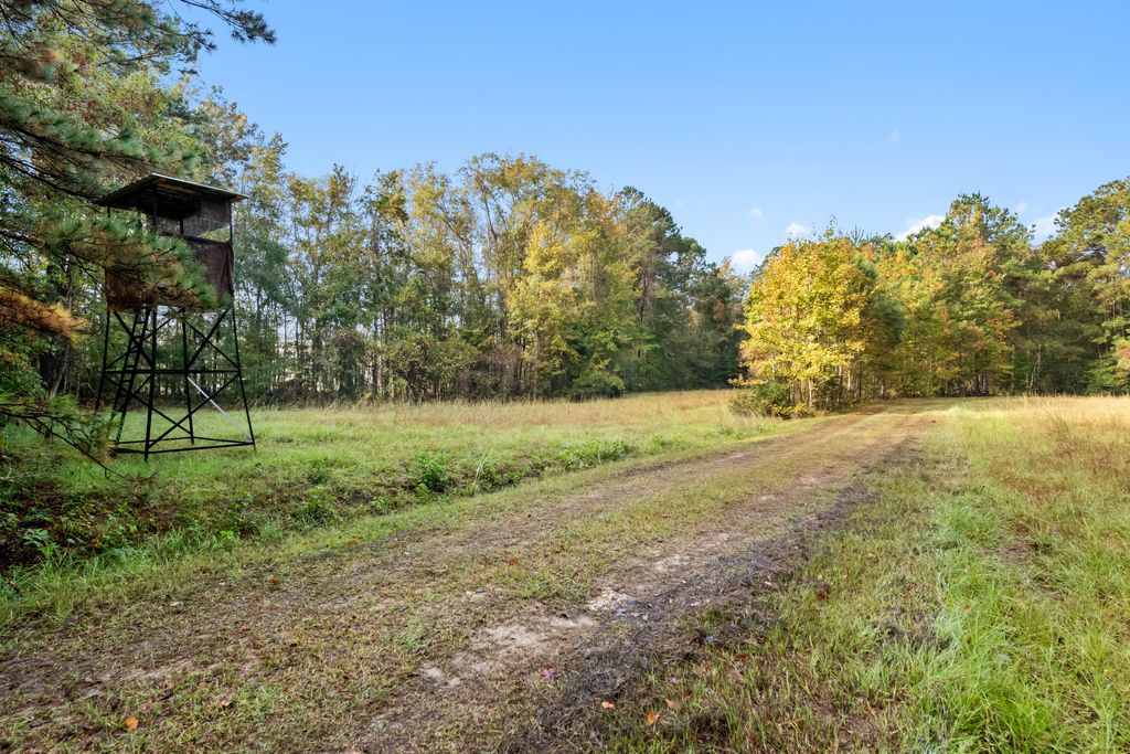 Photo of 527 Acres Spring Grove Road, Adams Run, SC 29426 (MLS # 25028039)