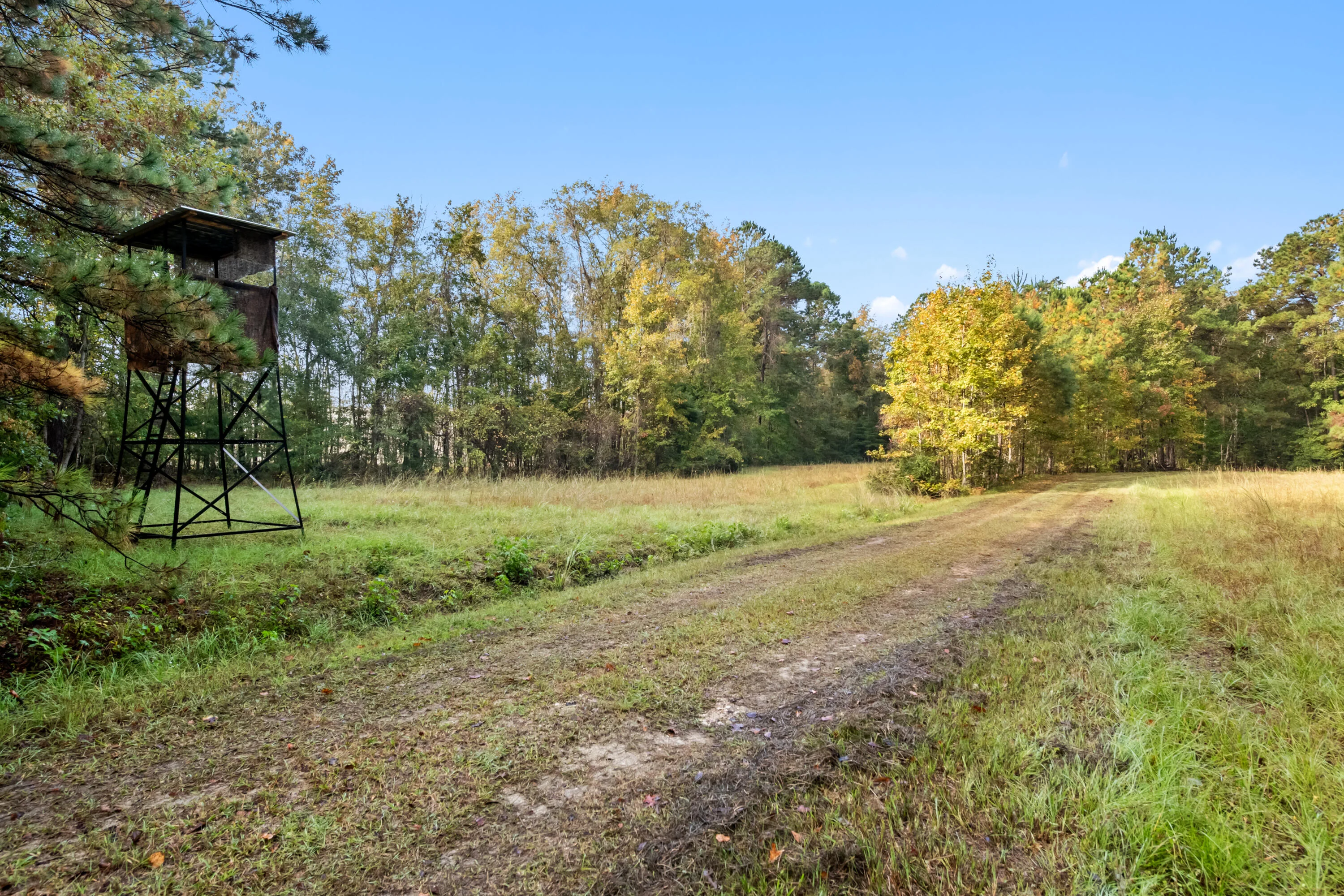 527 Acres Spring Grove Road, Adams Run, SC, 29426