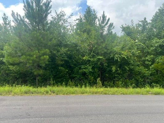0 THOMAS ROAD, DORCHESTER, SC 29437 - Image c218f12cdabcdb995afb603901fd77ae/1697184806