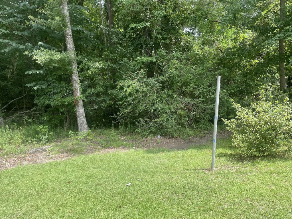 Photo of 21 Mary Ellie Drive, Summerville, SC 29483 (MLS # 25019786)