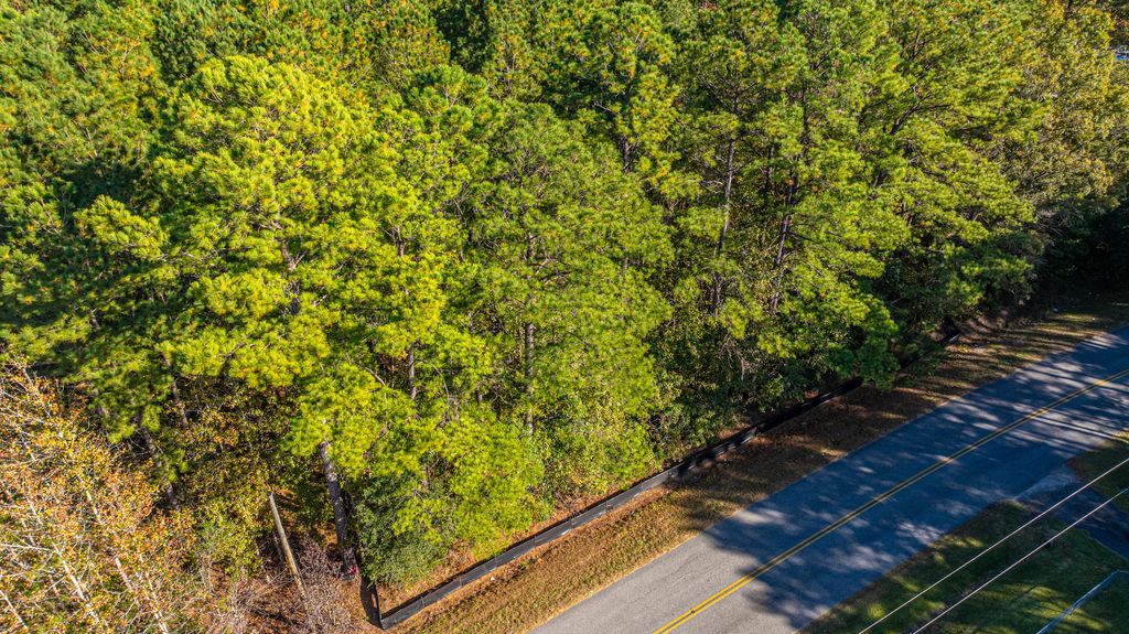 Photo of 00 Lindy Creek Road, Goose Creek, SC 29445 (MLS # 25030534)