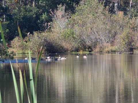 Photo of 3644 Lake Marston Drive, Orangeburg, SC 29118 (MLS # 25029376)