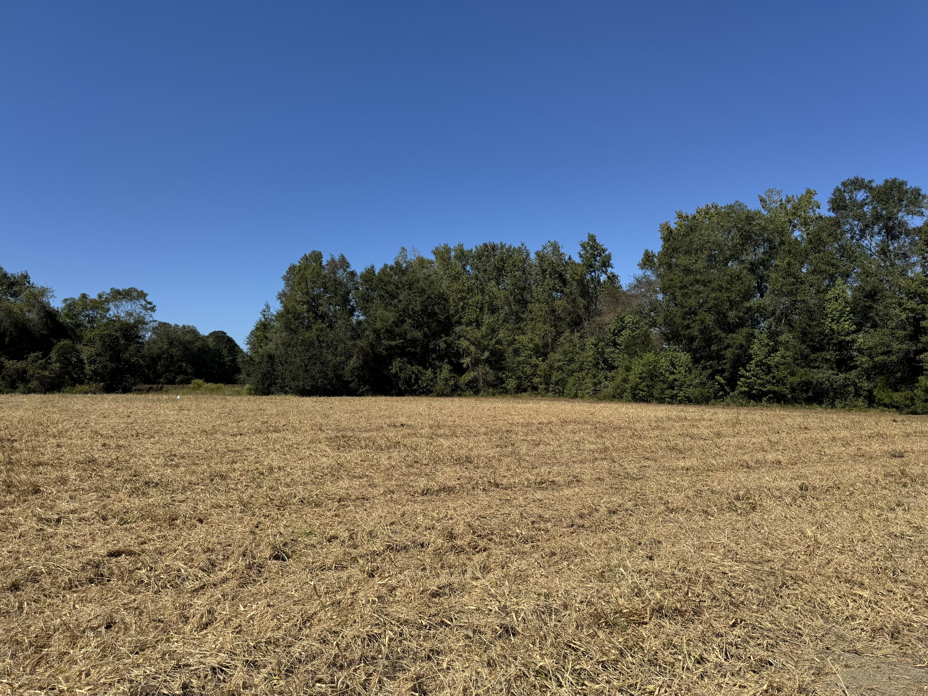 0 Clarks Hill Drive 4