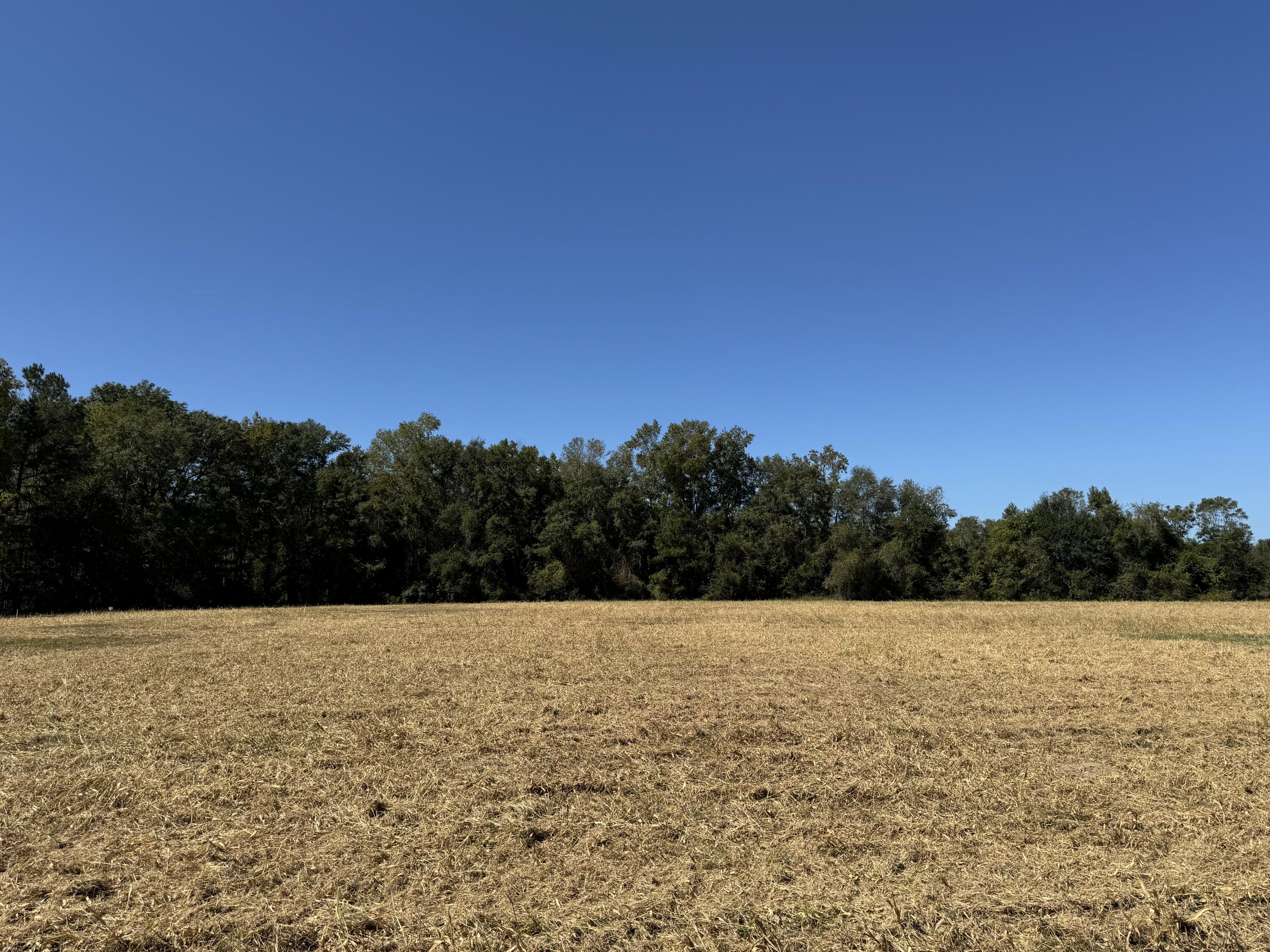 0 Clarks Hill Drive 4