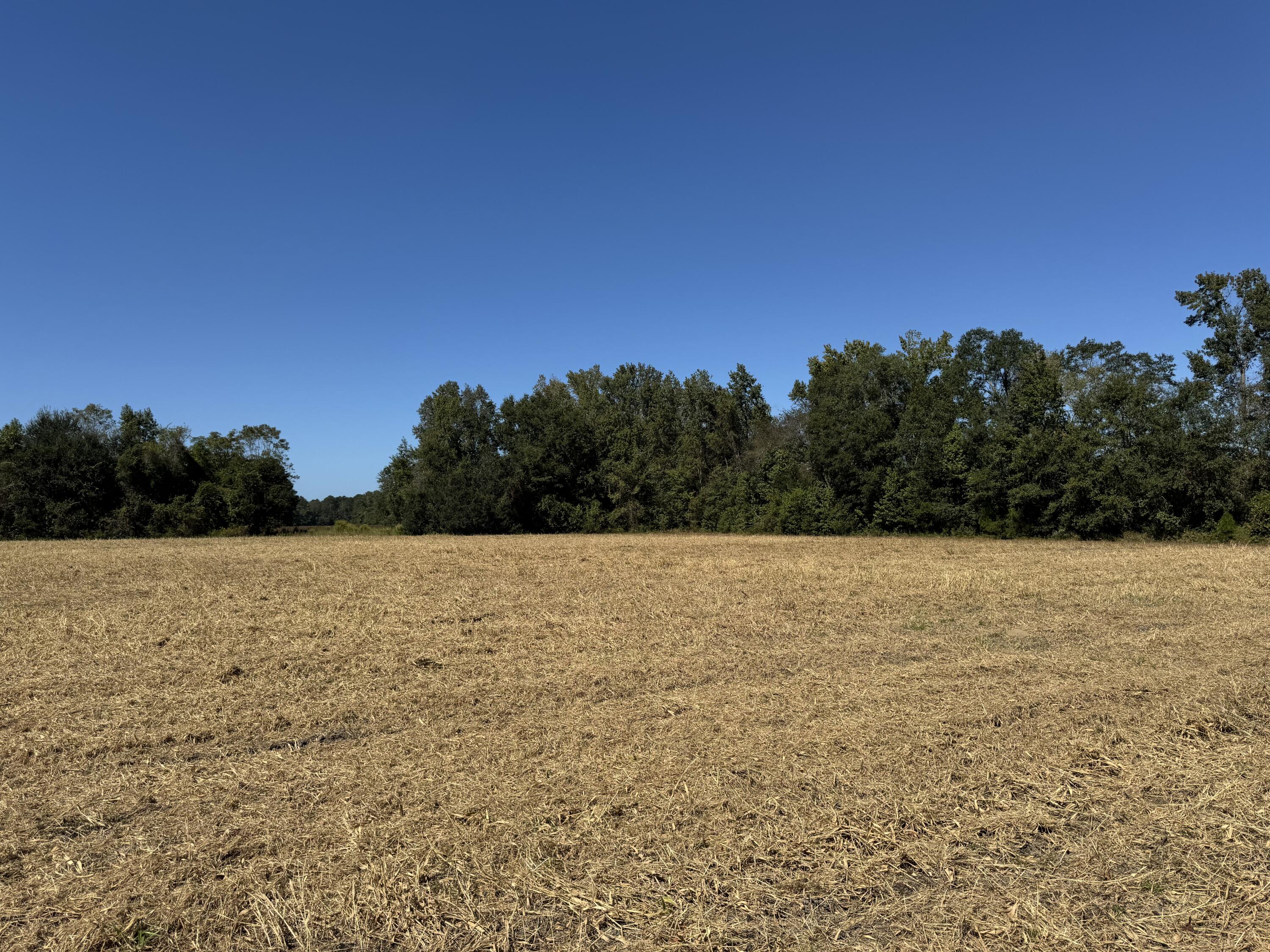 0 Clarks Hill Drive 4