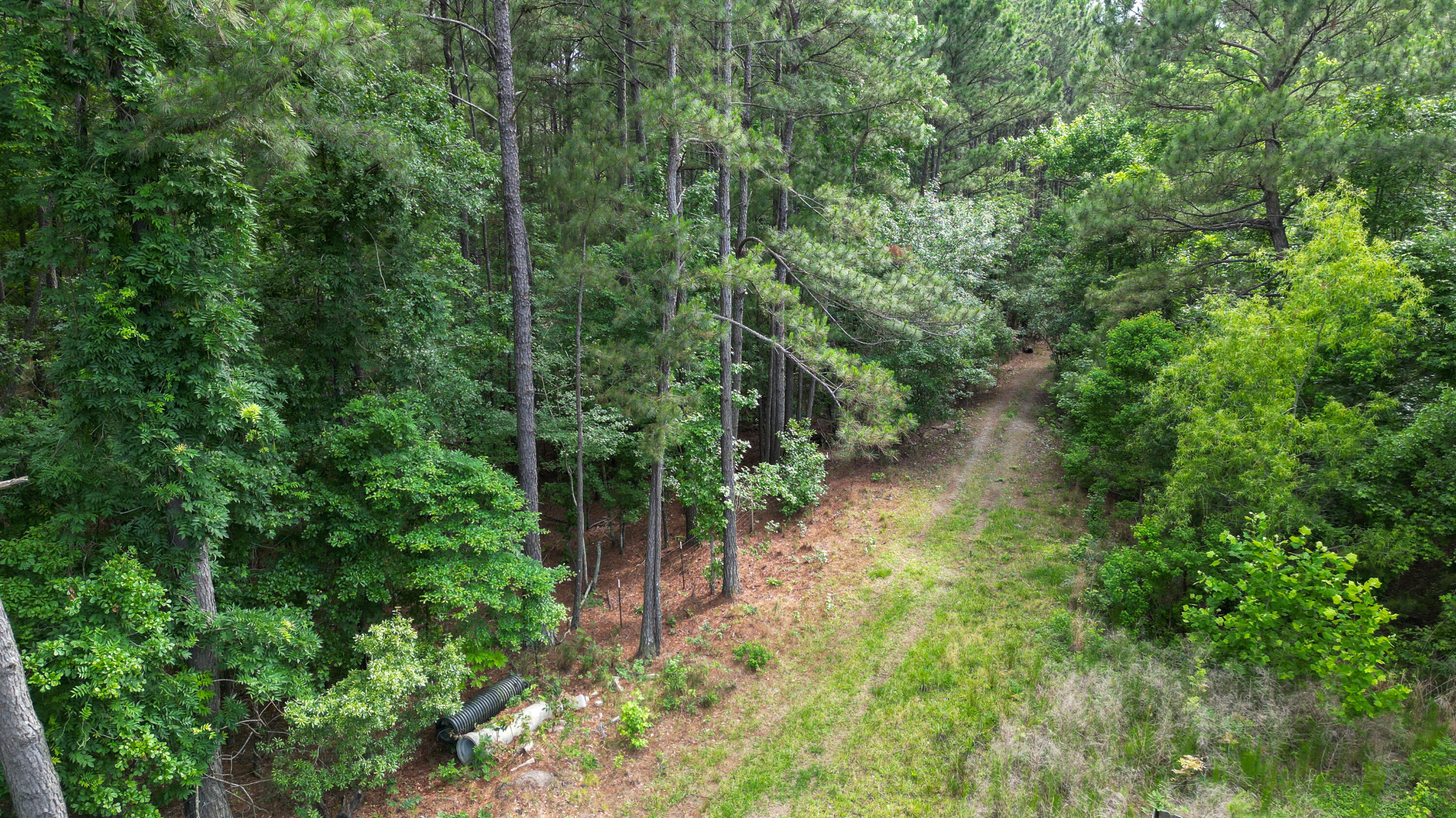 115 Smith Island Trail B