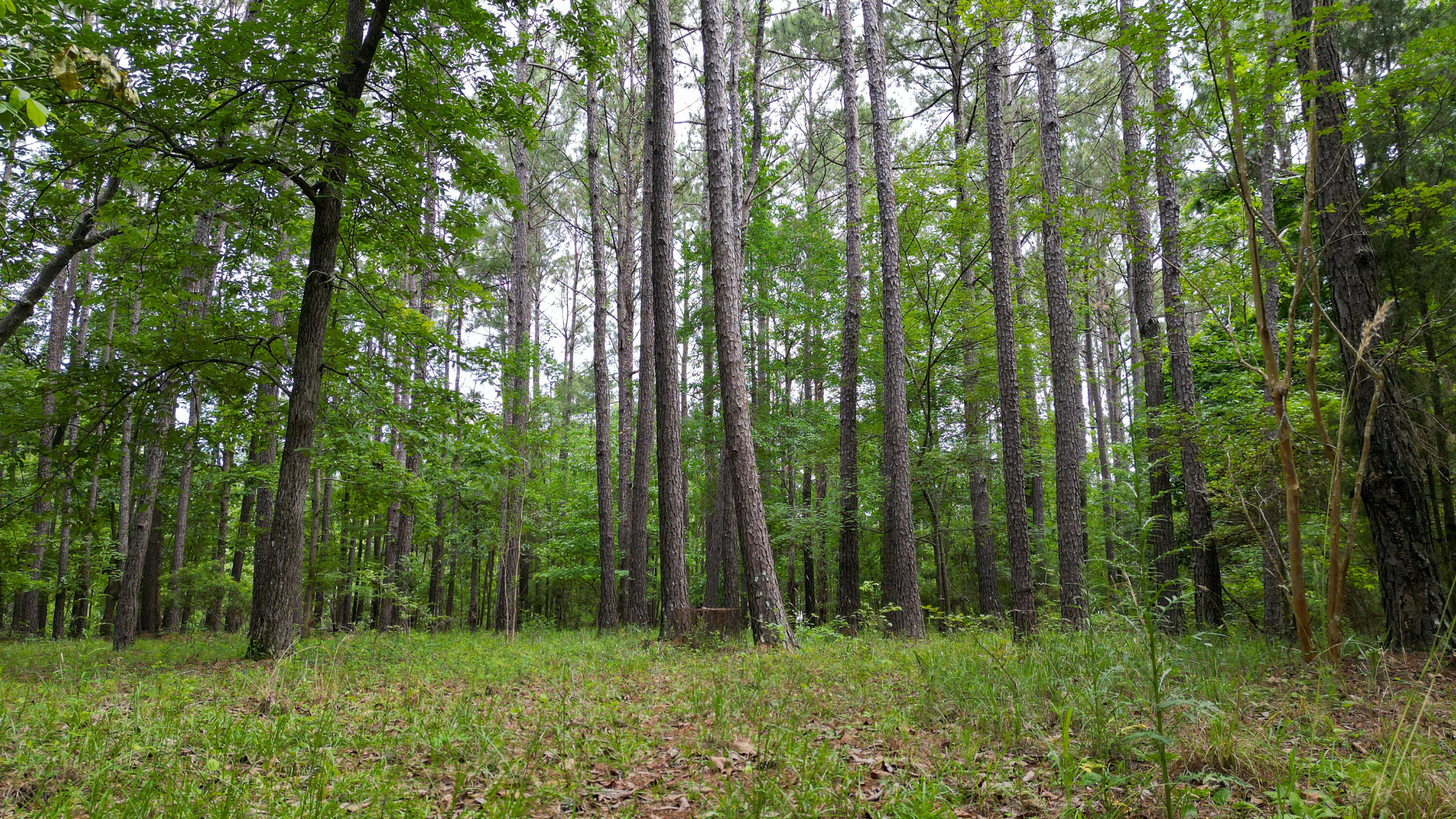 115 Smith Island Trail B